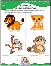 Hayvanlar ve Yavruları Eğitici Kartları